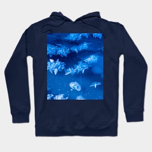 Ice crystals in ice Hoodie